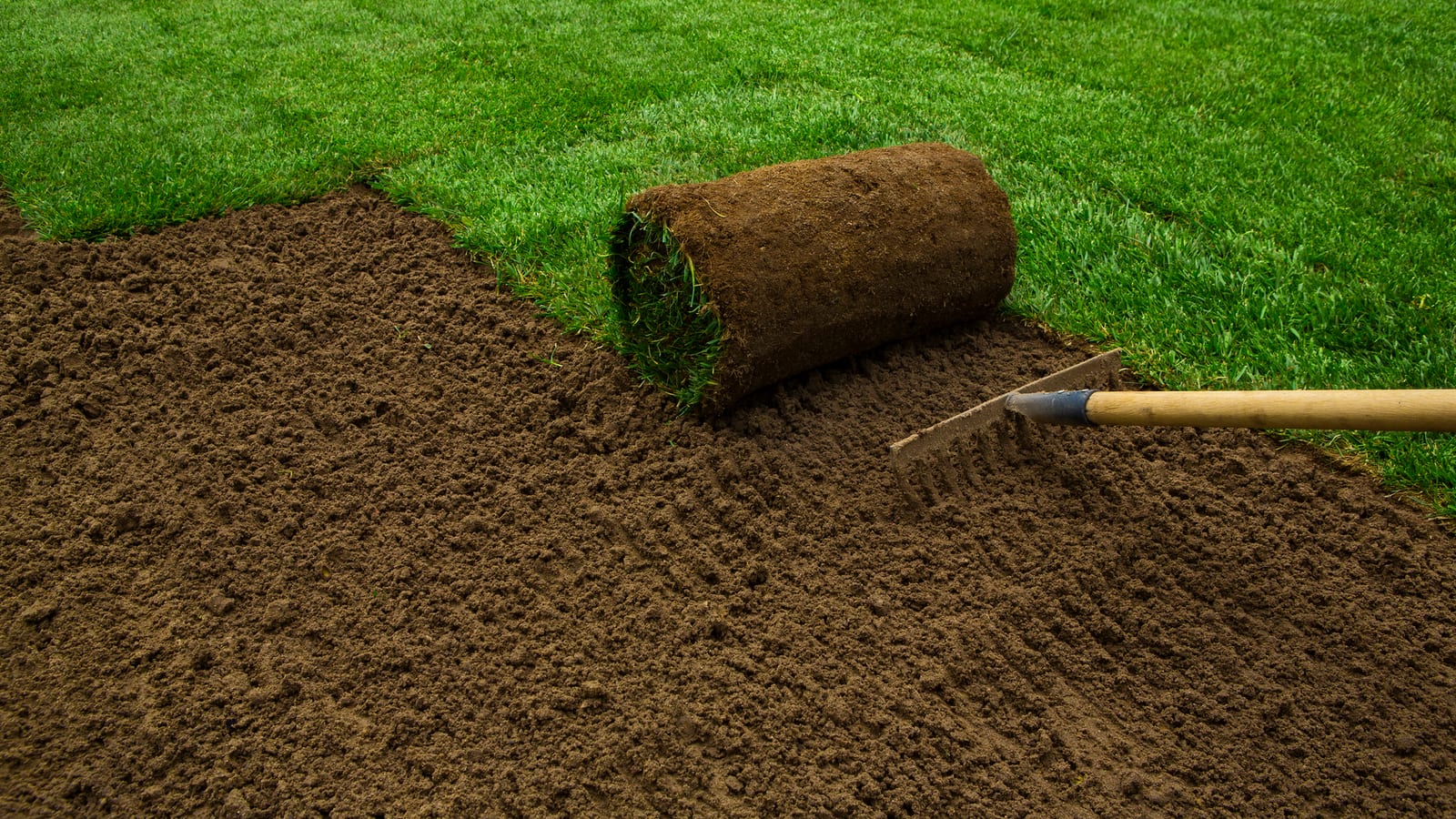 Turfing project, replace with a real photo